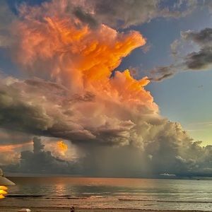 Meet your Posher, Kayleigh